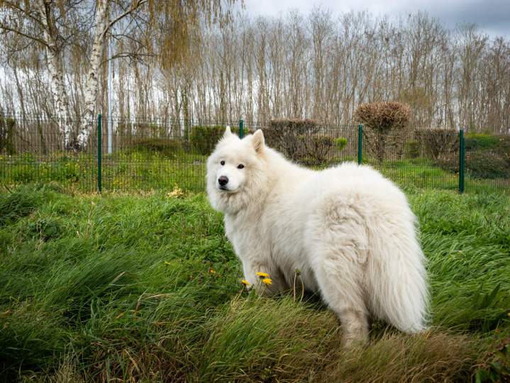 Entreprise de chauffage et de plomberie -  Saché